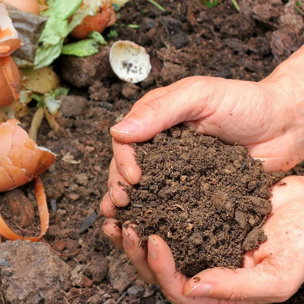 Composts and Soils
