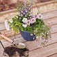 Container & Hanging Basket 50L