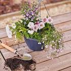 Container & Hanging Basket 50L